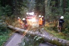 Einsatz 24.09.2018 - Baum Wirtatobel (3)