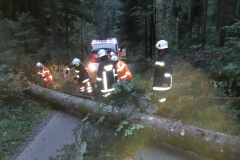 Einsatz 24.09.2018 - Baum Wirtatobel (6)