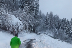 20190113_081130