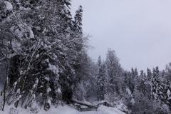 20190113_081319
