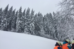 Foto 13.01.19, 14 29 53