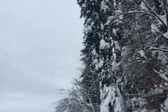 Foto 13.01.19, 16 05 24