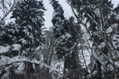 Foto 13.01.19, 16 05 56