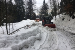 Foto 14.01.19, 09 41 51