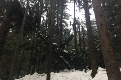 Foto 14.01.19, 10 19 13