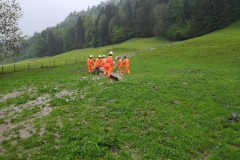IMG_20190521_073239