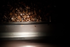20181224_072028