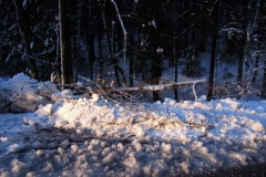 Einsatz 15.12.2017 - Baum Lässer (1)