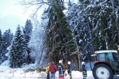 Einsatz 15.12.2017 - Baum Lässer (6)