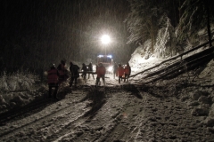 Einsatz 15.12.2017 - Baum Hub RR (1)