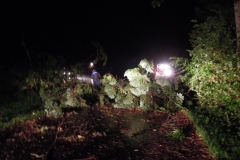 Einsatz 23.09.2018 - Baum Hälin (3)