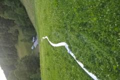 Probe 06.07.2017 - Waldbrand MN (2)