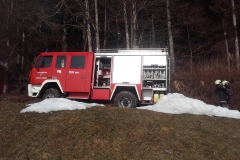 Einsatz 13.02.2017 - Kaminbrand Dürr Arnold FK (12)