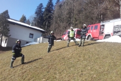 Einsatz 13.02.2017 - Kaminbrand Dürr Arnold FK (13)