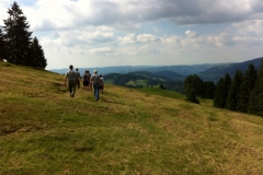 Leistungsbewerbe Lingenau 16.07.2016 (3)