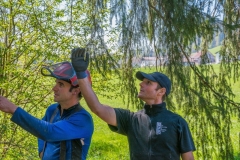k-Maibaumfest-2015-019
