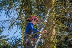 k-Maibaumfest-2015-023
