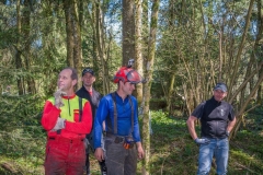 k-Maibaumfest-2015-028