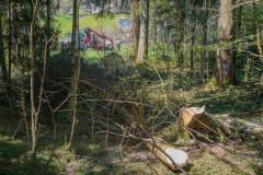 k-Maibaumfest-2015-041