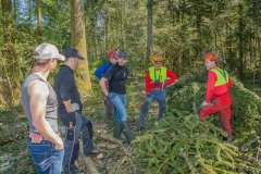 k-Maibaumfest-2015-042