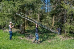 k-Maibaumfest-2015-047