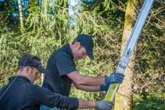 k-Maibaumfest-2015-048