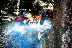 k-Maibaumfest-2015-059