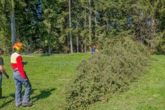k-Maibaumfest-2015-066