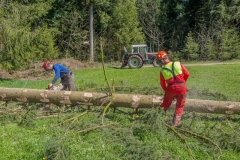 k-Maibaumfest-2015-068