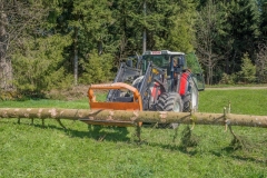 k-Maibaumfest-2015-069