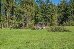 k-Maibaumfest-2015-070