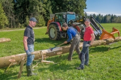 k-Maibaumfest-2015-071