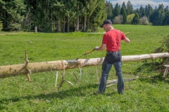 k-Maibaumfest-2015-074
