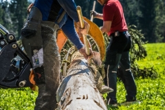 k-Maibaumfest-2015-075