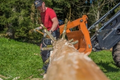 k-Maibaumfest-2015-081