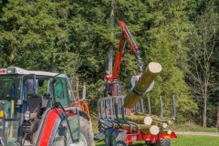 k-Maibaumfest-2015-083