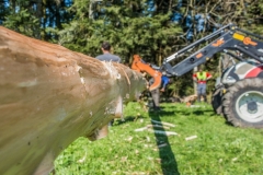 k-Maibaumfest-2015-085
