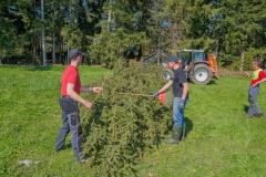 k-Maibaumfest-2015-088