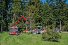 k-Maibaumfest-2015-092
