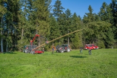 k-Maibaumfest-2015-094