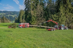 k-Maibaumfest-2015-099