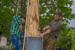 k-Maibaumfest-2015-206