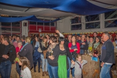 k-Maibaumfest-2015-278