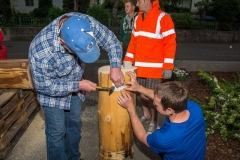 k-Maibaumfest-2015-383