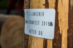 k-Maibaumfest-2015-393