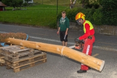 k-Maibaumfest-2015-397