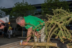 k-Maibaumfest-2015-427