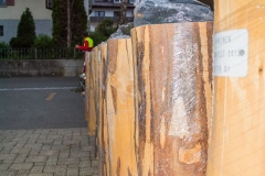 k-Maibaumfest-2015-439