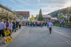 Maibaumfest 2017-175