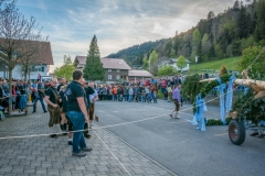 Maibaumfest 2017-184